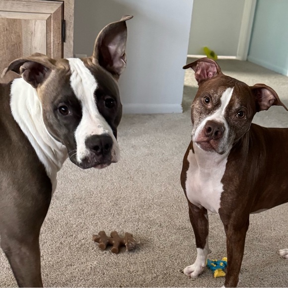 Meet your Posher, Jody - Picture 2 of 4